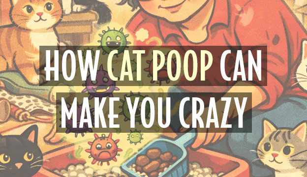 cat poop crazy cat lady