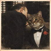 cat scene godfather movie