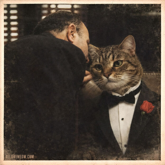 cat scene godfather movie