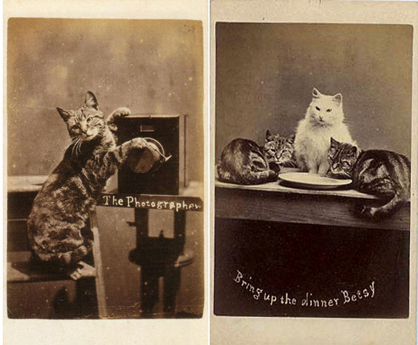 first lolcats ever