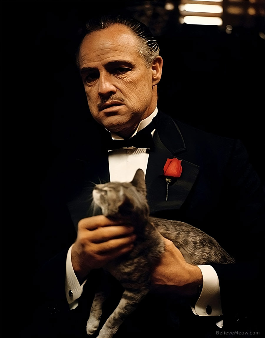 godfather movie cat