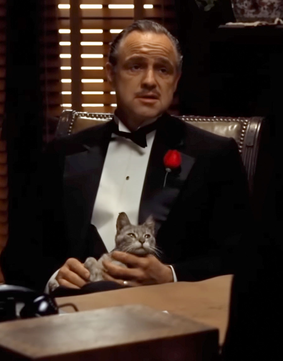 godfather movie cat scene