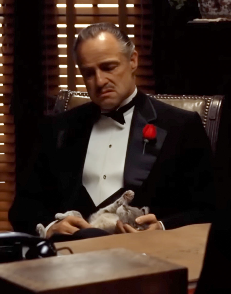 godfather movie cat scene