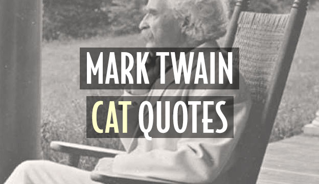 mark twain cat quotes