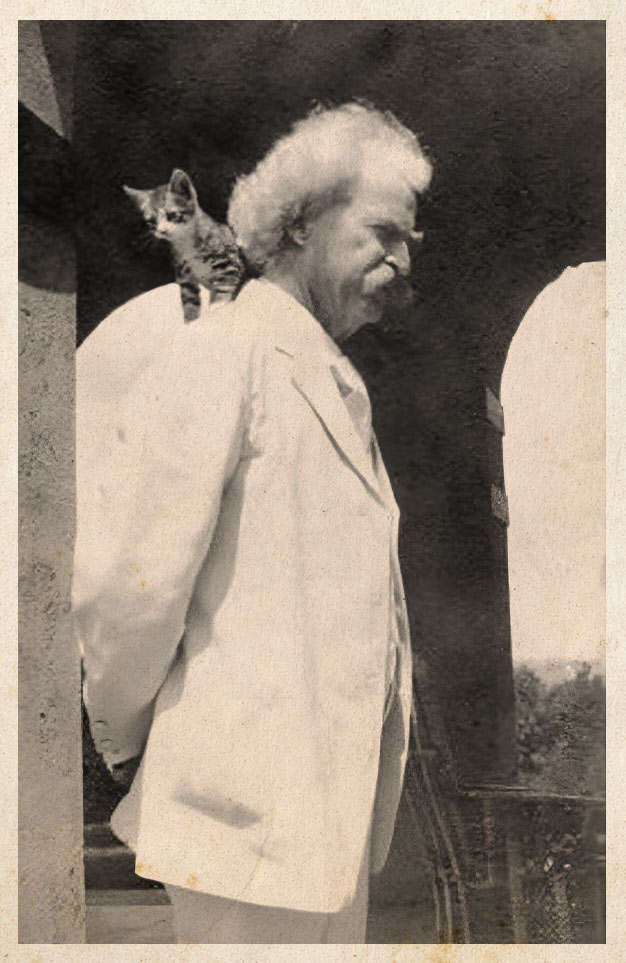 mark twain cat shoulder