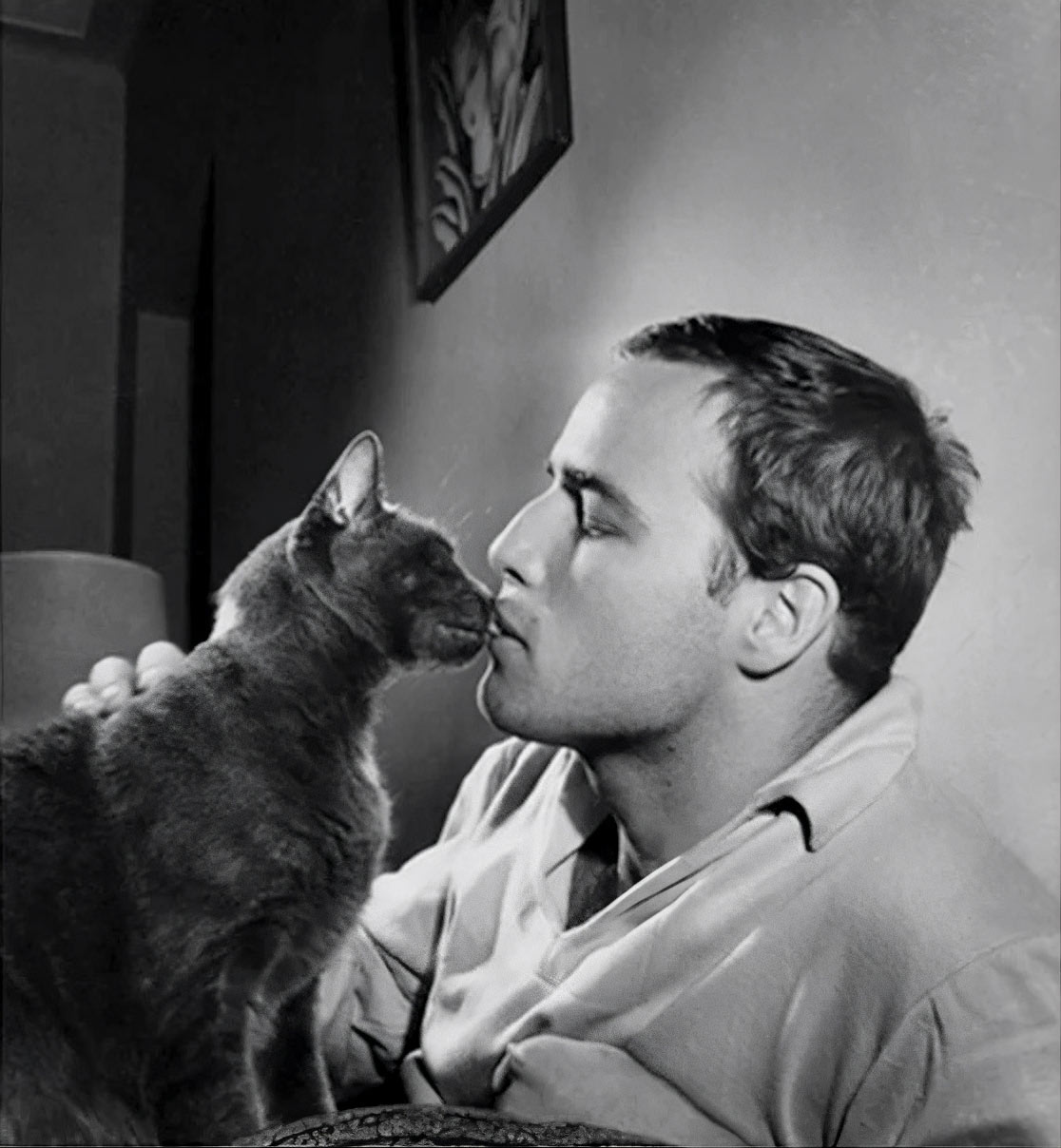 marlon brando kissing cat